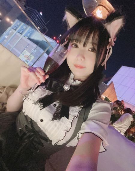 豆荚猫