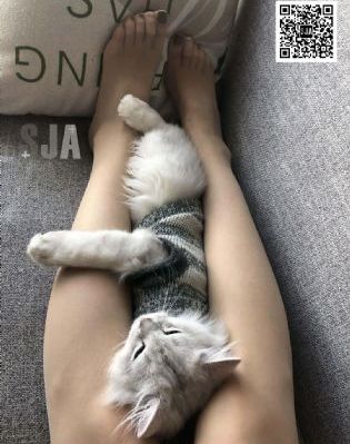 再见艳阳天