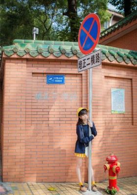 甄嬛传在线观看