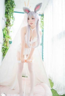 从姑获鸟开始之龙城风云在线观看