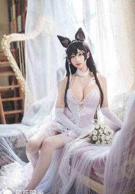 竹夫人在线观看