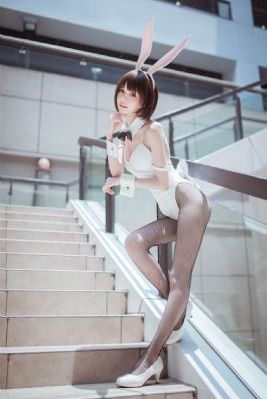 天天在线观看免费视频
