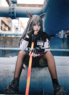 无所畏惧电视剧免费看