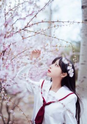 爱情场景编号
